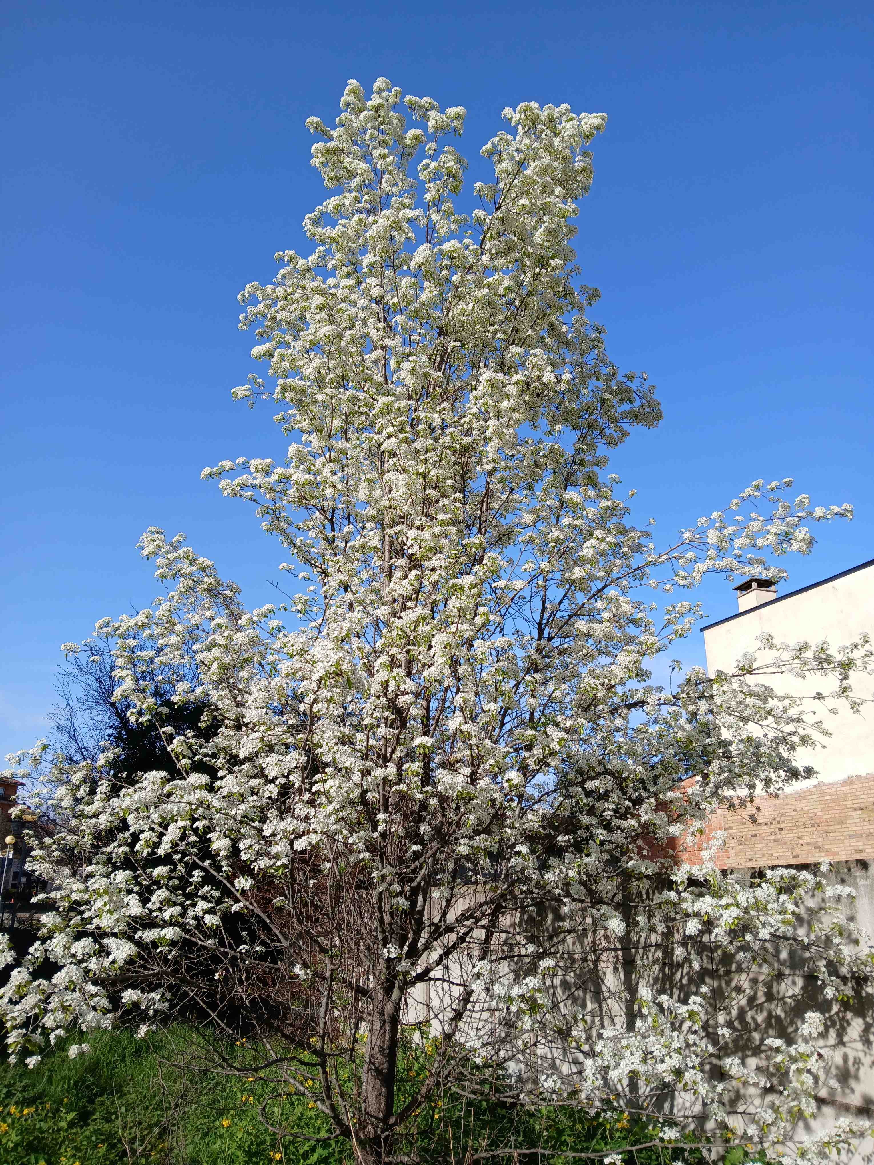 No s'ha trobat l'arxiu